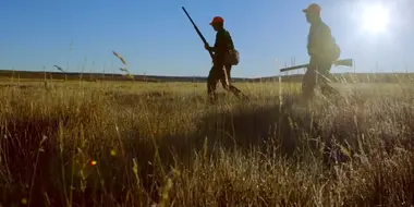 Wyoming Sage Grouse