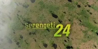 Serengeti 24