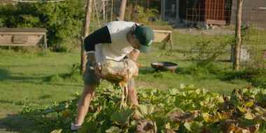 ”I'm going to harvest the largest pumpkin of 2021 in Sweden!”