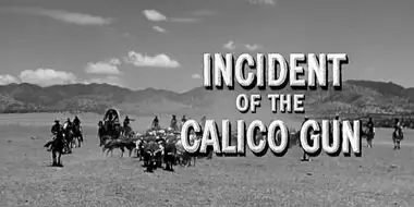 Incident of the Calico Gun