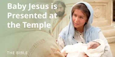 Luke 2 | The Christ Child Is Presented at the Temple