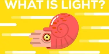 What Is Light?