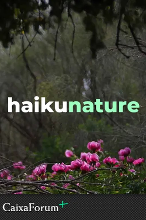 Haiku Nature