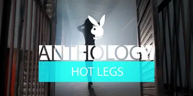 Hot Legs