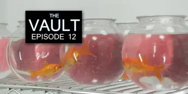 Episode 12