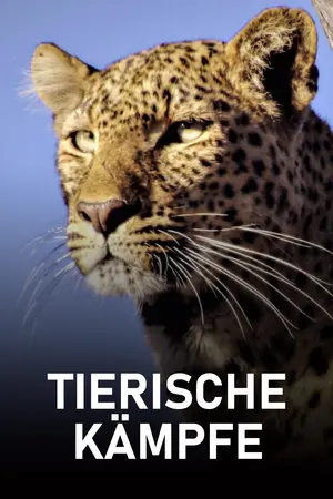 Tierische Kämpfe