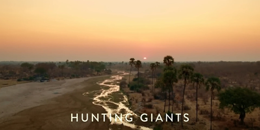 Hunting Giants