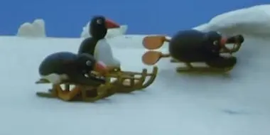 Pingu's Tobogganing