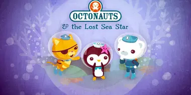 The Lost Sea Star