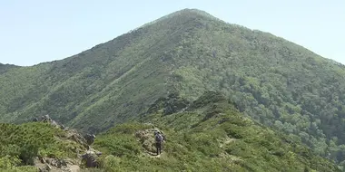 Early Summer on Mt. Apoidake