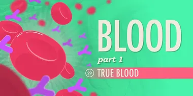 Blood, Part 1 - True Blood