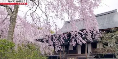 One Thousand Springs in the Capital: Historic Monuments of Ancient Kyoto