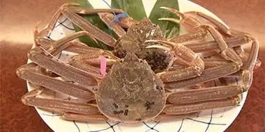 Snow Crab