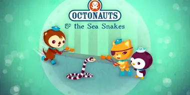 The Sea Snakes