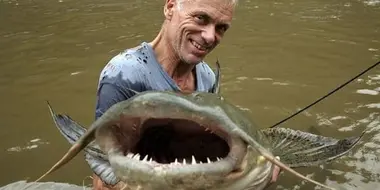 The Deadliest Catfish