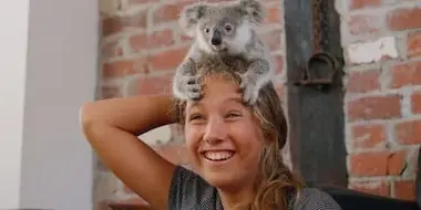 Baby Koalas!