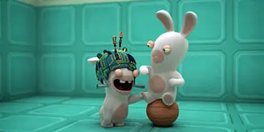 Rabbid Obsession