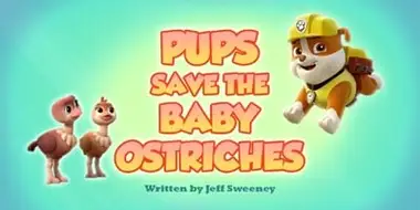 Pups Save the Baby Ostriches