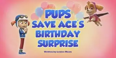 Pups Save Ace's Birthday