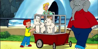 Benjamin and the Polar Bear Babies