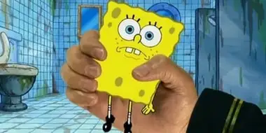 Model Sponge