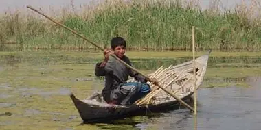 Miracle in the Marshes of Iraq