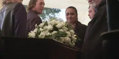 My prized albatross plume is drenched by the mists of sorrow