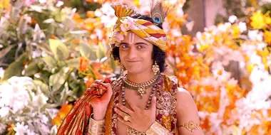 What Is Krishna's New Leela?