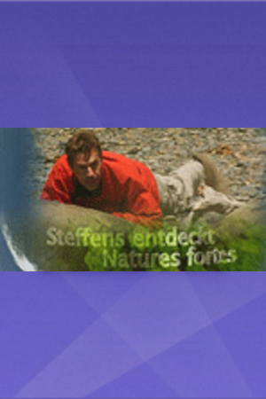 Steffens entdeckt