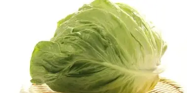 Cabbage