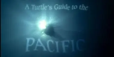 A Turtle's Guide to the Pacific