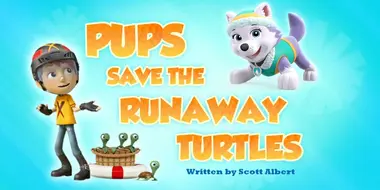 Pups Save the Runaway Turtles