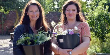 Cut Flowers and Trees