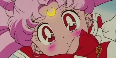 In Search of the Silver Crystal: Chibi-Usa's Secret