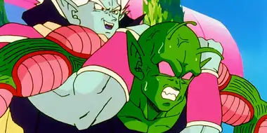 Fight With Piccolo