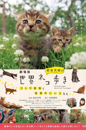 Mitsuaki Iwago's World “Cats” Travelogue