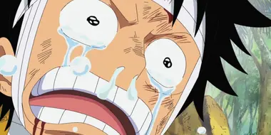 I Want to See Them! Luffy's Mournful Cry!