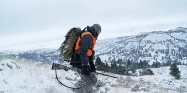 Brotherhood, Badlands and Pack Llamas: Montana Mule Deer