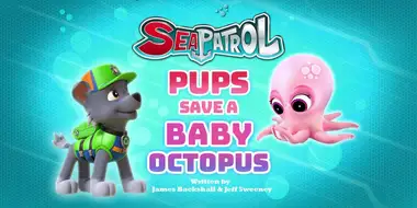 Sea Patrol: Pups Save a Baby Octopus