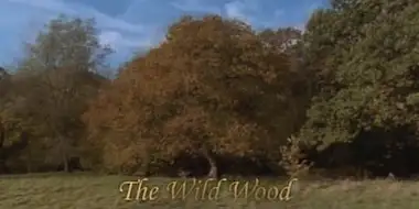 The Wild Wood