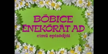 Bóbice énekórát ad