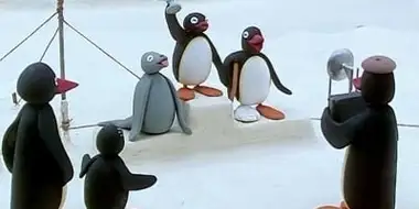 Pingu and His Cup