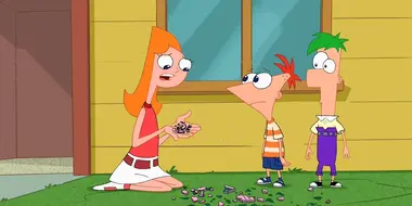 Candace Disconnected