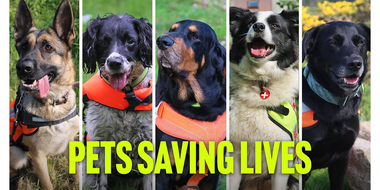 Pets Saving Lives