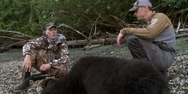 Up at the Cabin: Prince of Wales Island Black Bear with Paul Neess