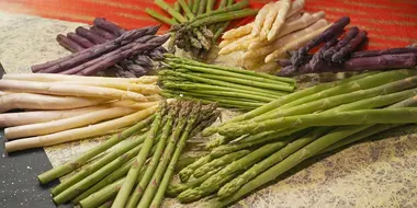 ASPARAGUS