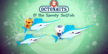 The Speedy Sailfish