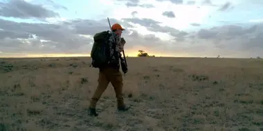 Lobster of the Prairie: Wyoming Antelope