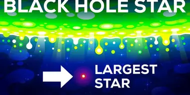 Black Hole Star – The Star That Shouldn't Exist