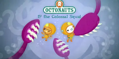 The Colossal Squid